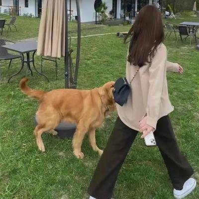 滑稽六人组